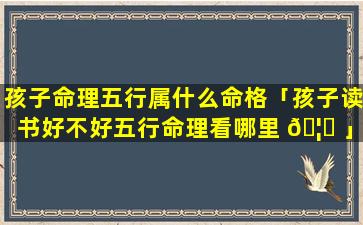 孩子命理五行属什么命格「孩子读书好不好五行命理看哪里 🦅 」